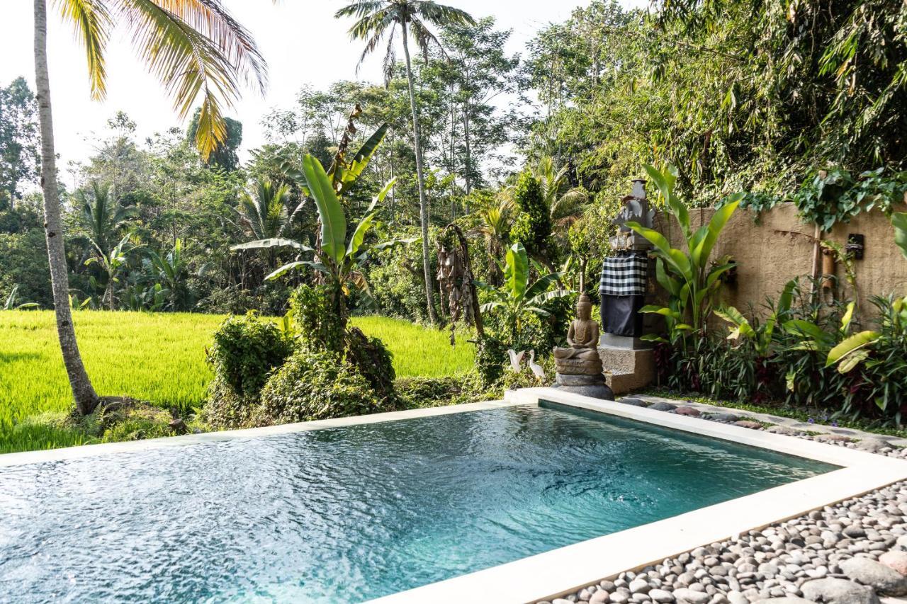 Bali Bamboo Jungle Huts And Hostel Tampaksiring Εξωτερικό φωτογραφία