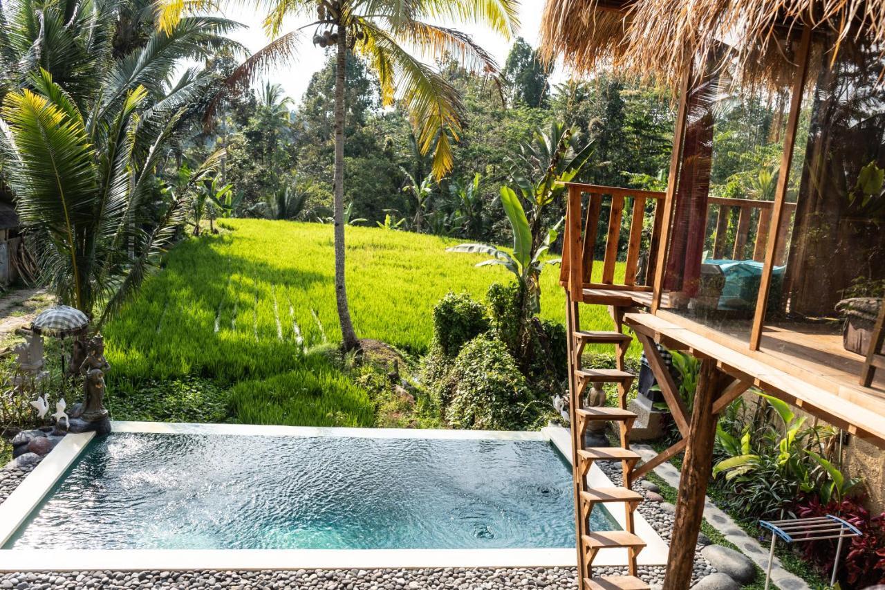 Bali Bamboo Jungle Huts And Hostel Tampaksiring Εξωτερικό φωτογραφία