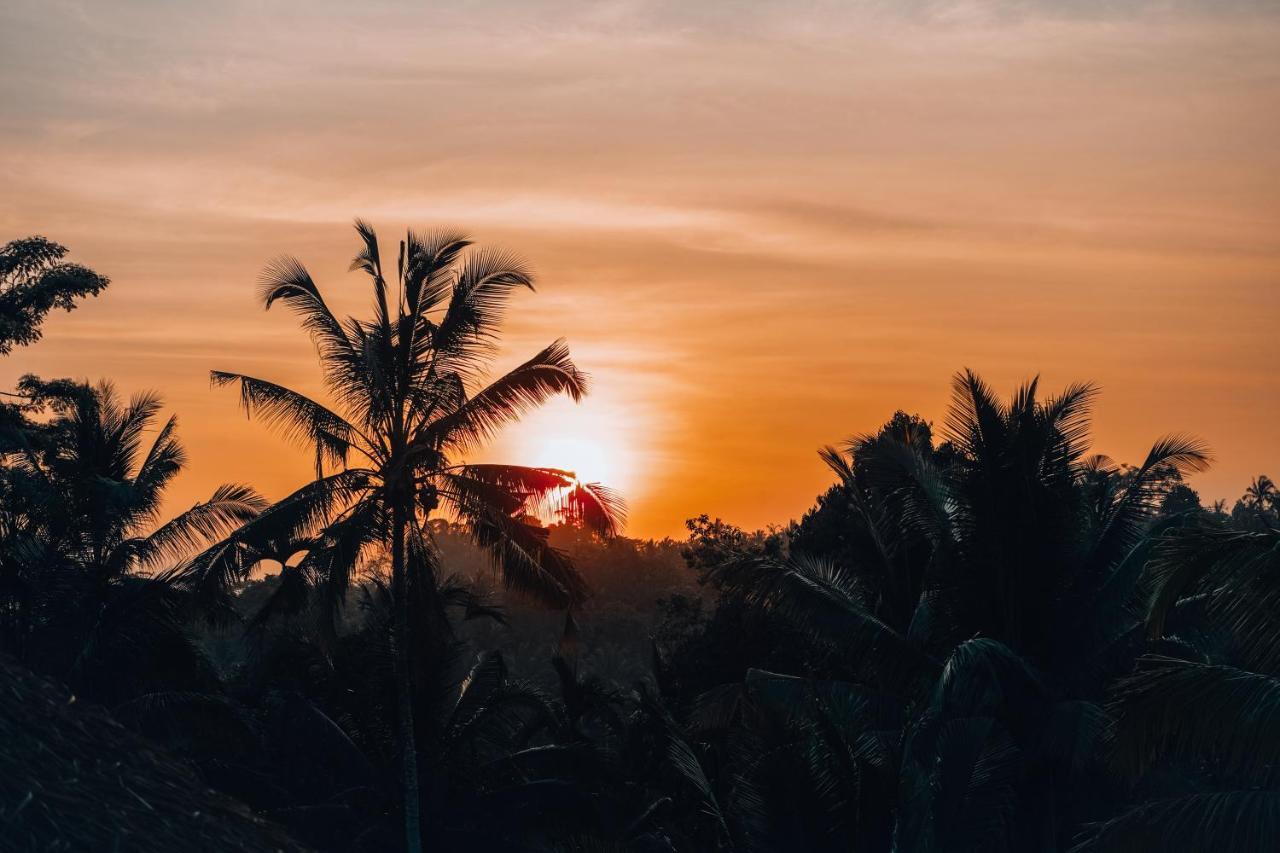 Bali Bamboo Jungle Huts And Hostel Tampaksiring Εξωτερικό φωτογραφία