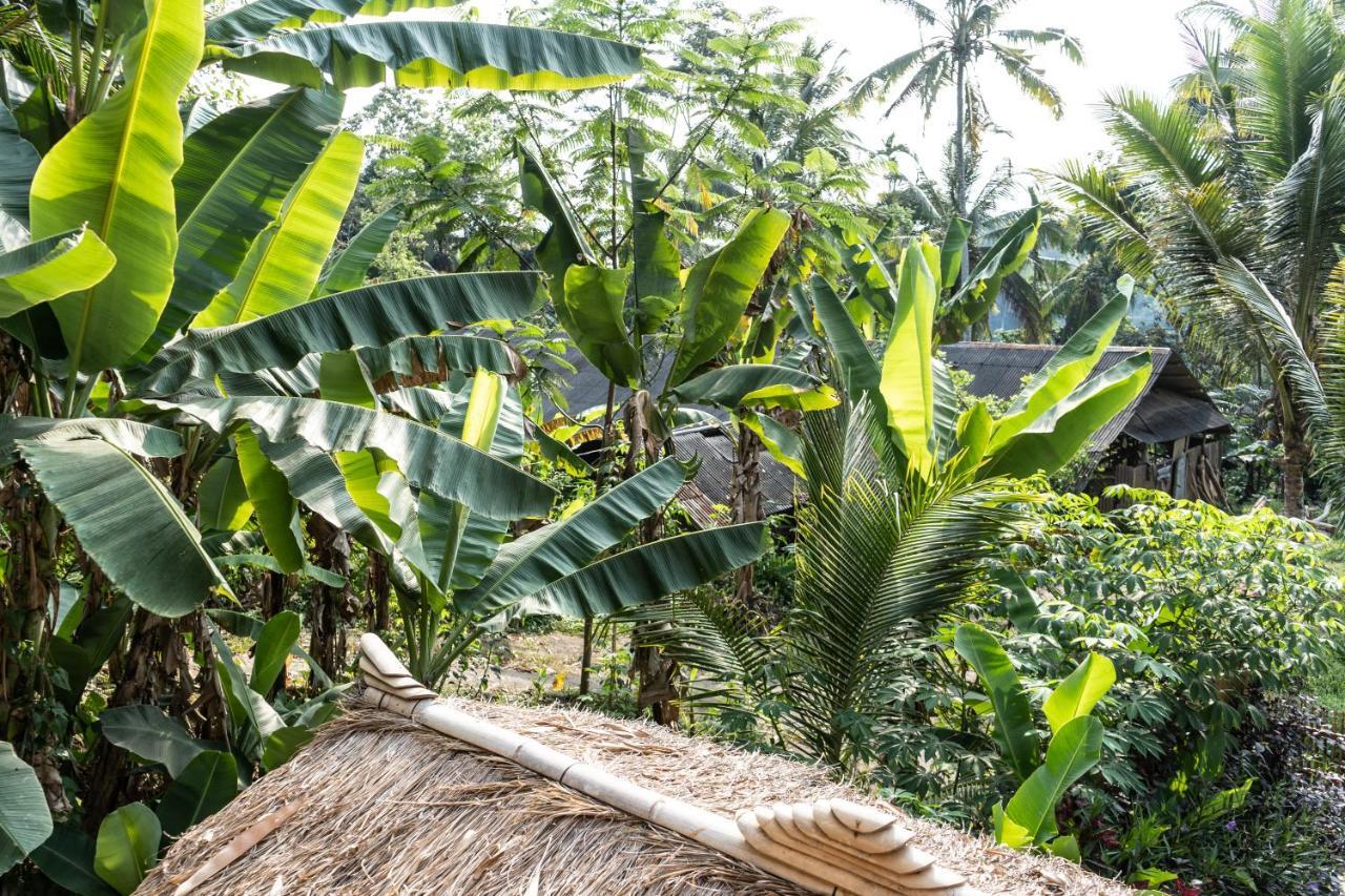 Bali Bamboo Jungle Huts And Hostel Tampaksiring Εξωτερικό φωτογραφία