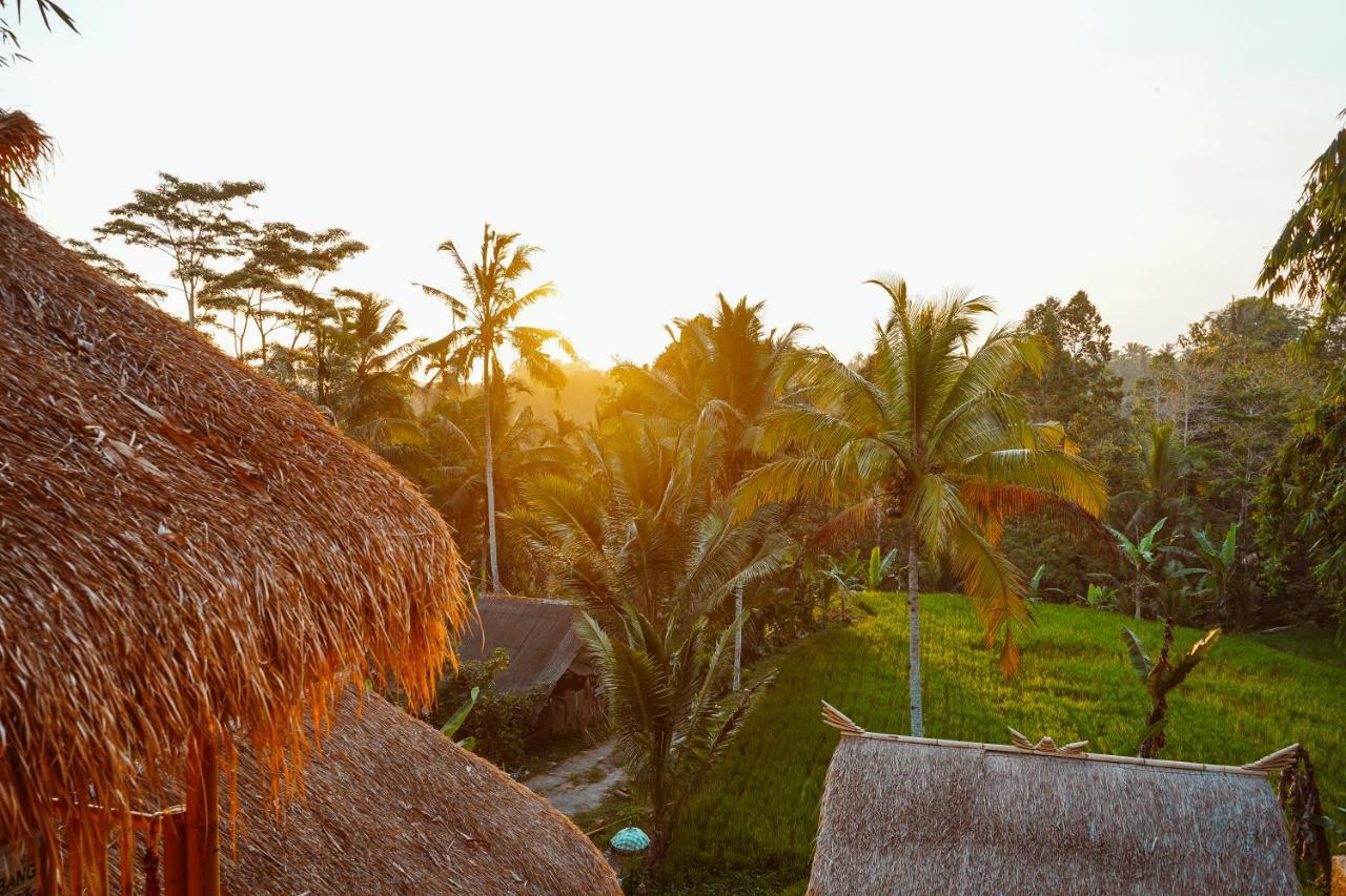 Bali Bamboo Jungle Huts And Hostel Tampaksiring Εξωτερικό φωτογραφία