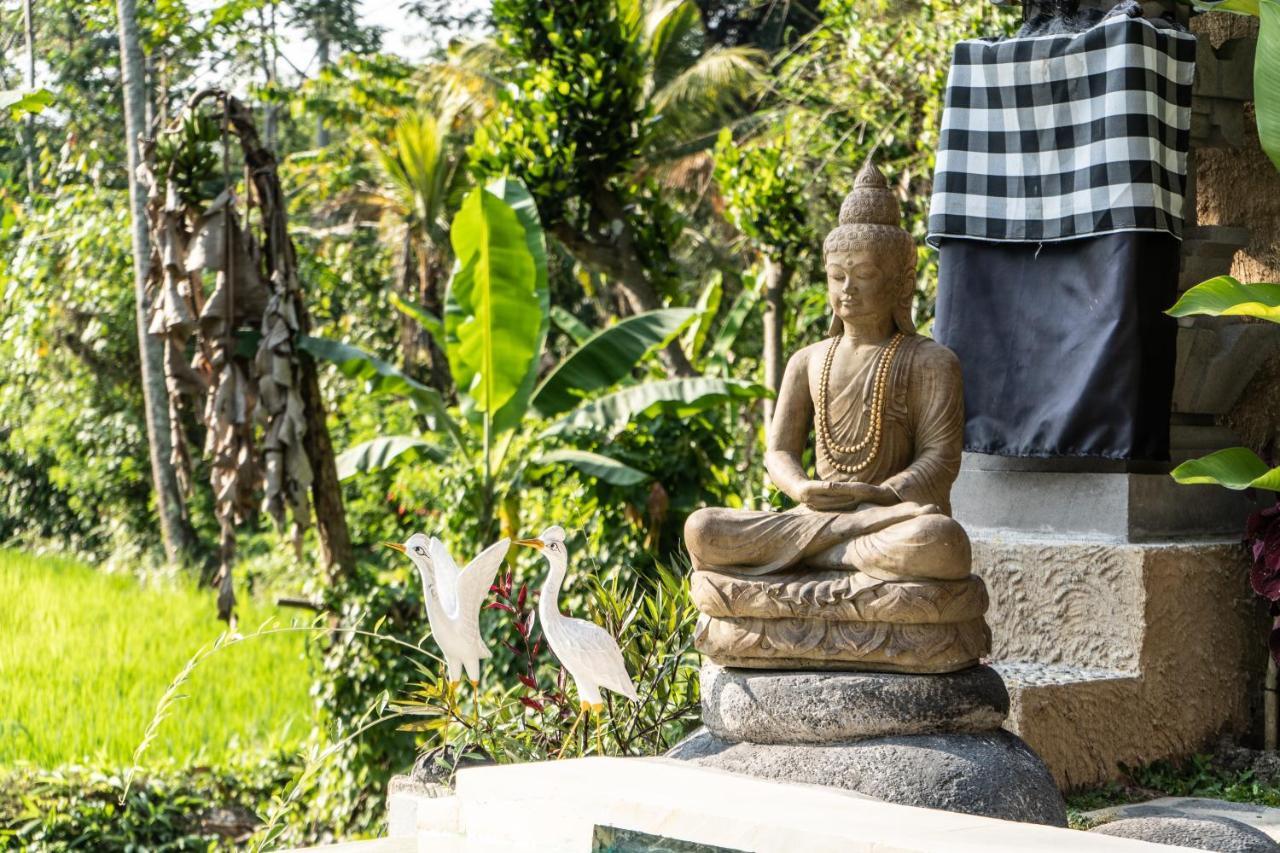 Bali Bamboo Jungle Huts And Hostel Tampaksiring Εξωτερικό φωτογραφία