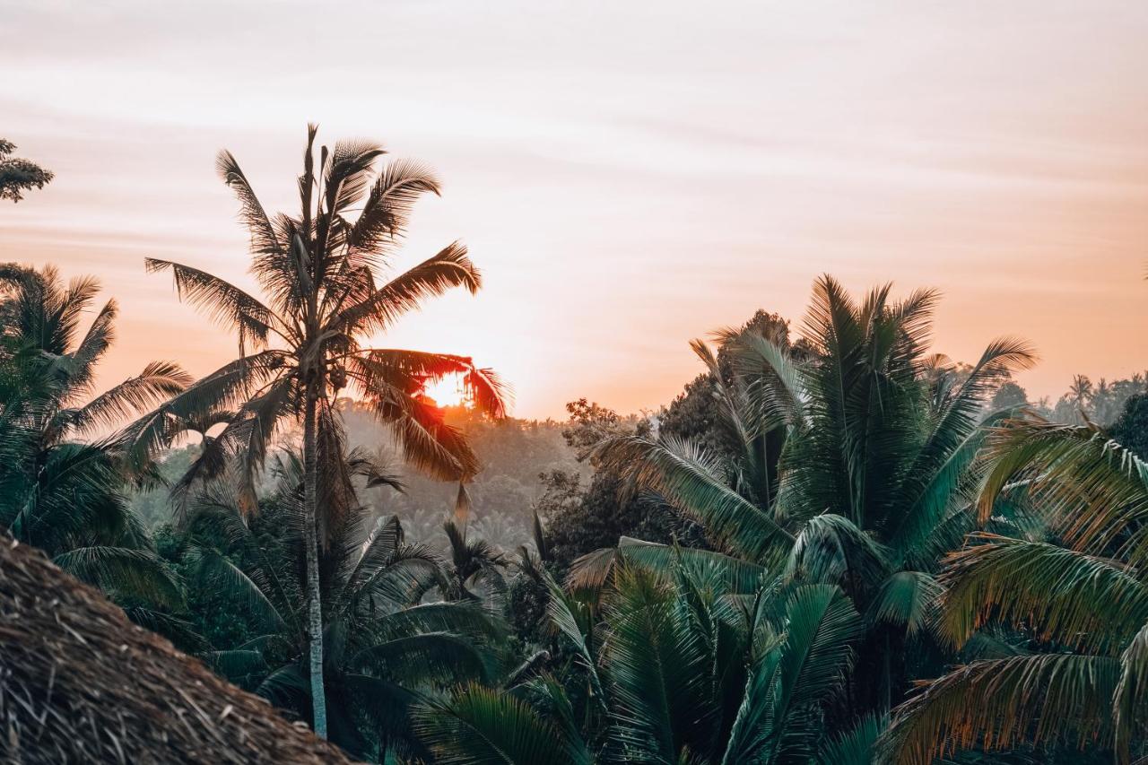 Bali Bamboo Jungle Huts And Hostel Tampaksiring Εξωτερικό φωτογραφία